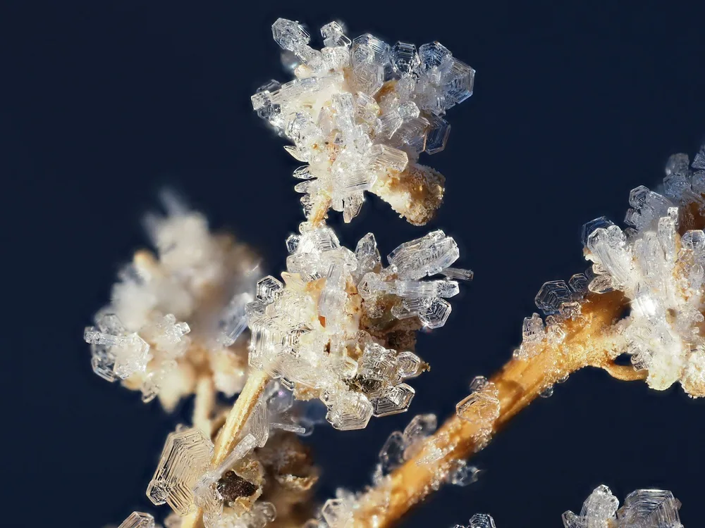 Dry Ice Hash vs Bubble Hash: Which One Should You Be Making?