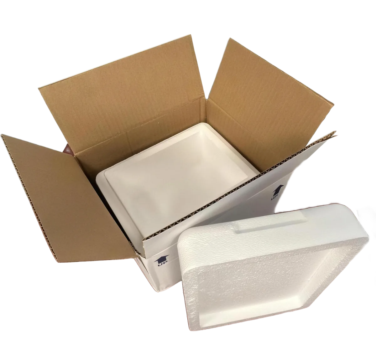 Pre-molded insulated cooler inside its outer shipping carton, lid alongside